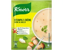 Knorr Steinpilz