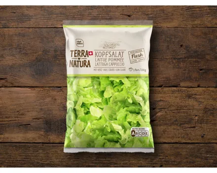 Kopfsalat Terra Natura