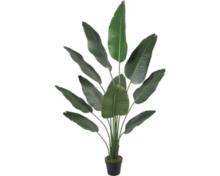 Kunstpflanze Strelitzia im Topf, 180 cm