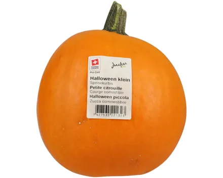 Kürbis Halloween klein 1 Stück