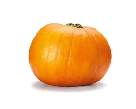 Kürbis Halloween klein St