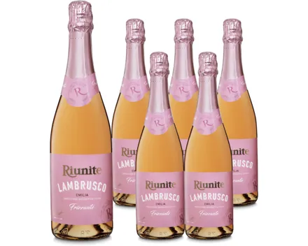 Lambrusco Rosato Frizzante 6x 75cl – Schaumwein, Italien (0.75l)