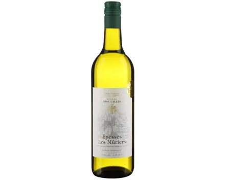 Lavaux AOC Epesses Les Mûriers Domaine Fonjallaz (2022) – Weisswein, Schweiz (0.7l)