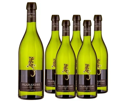 Lavaux AOC La Salamandre 6x 70cl (2024) – Weisswein, Schweiz (0.7l)