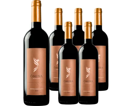 Lazio IGT Janus Geminus I Ômina Romana 6x 75cl (2016) – Rotwein, Italien (0.75l)