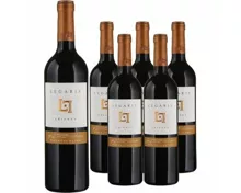 Legaris Crianza Ribera del Duero DO 6x 75cl