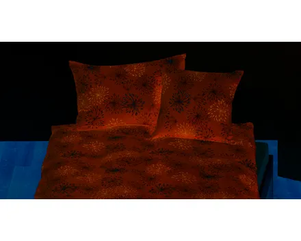 Lehner Versand schenkt dir CHF 15.–