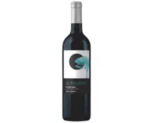 LES PINS BLEUS Cabernet Merlot IGP