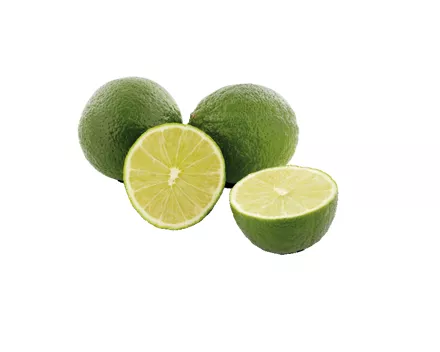 Limetten