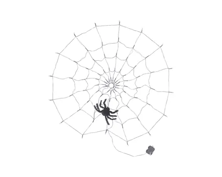 Livarno home LED-Spinnennetz