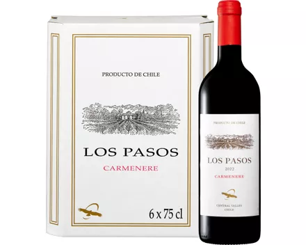 Los Pasos Carménère