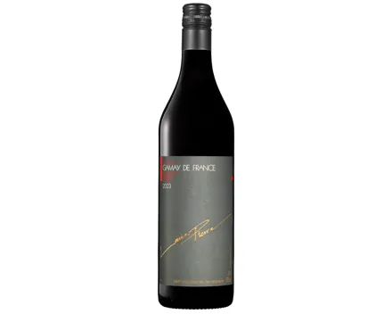 Louis Pierre Gamay de France
