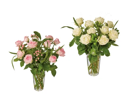 «Luxus» Rosenstrauss