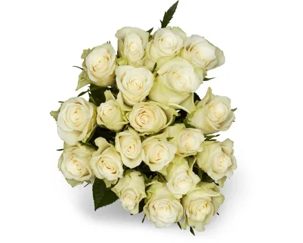 M-Classic Minirosen, Fairtrade