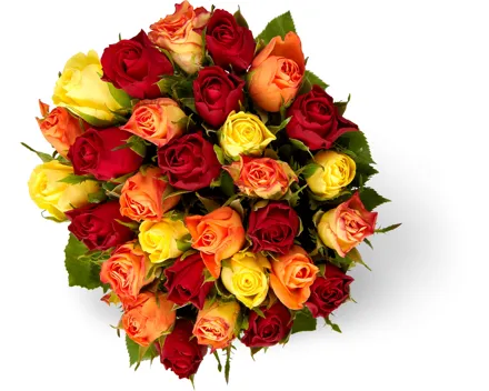M-Classic Minirosen Mix, Fairtrade