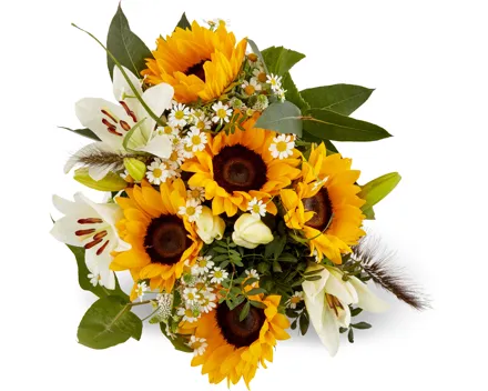 M-Classic Sonnenblumenstrauss