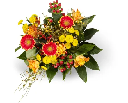 M-Classic Strauss Surprise Maxi