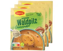 MAGGI Suppen 3er-Pack, Waldpilz creme