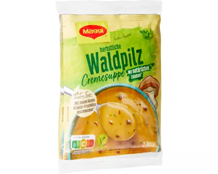 Maggi Waldpilzcremesuppe