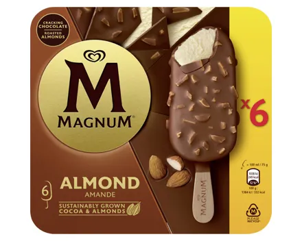 Magnum Almond 6x100ml