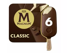 Magnum Classic 6x100ml