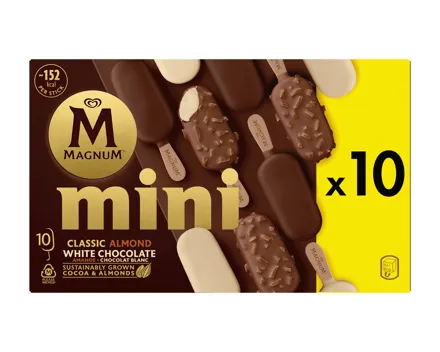 MAGNUM Mini Glace