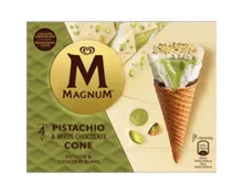 MAGNUM Pista & Weisse Scho Waffe