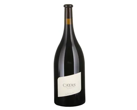 Magnum Valais AOC Syrah Cayas Jean-René Germanier (2022) – Rotwein, Schweiz