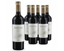 Malbec Mendoza Reserve Santa Ana 6x 75cl