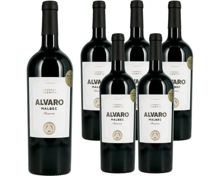 Malbec Reserva Mendoza Argentina Alvaro 6x 75cl (2024) – Rotwein, Argentinien (0.75l)