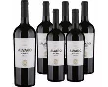 Malbec Reserva Mendoza Argentina Alvaro 6x 75cl