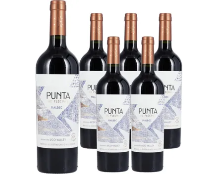 Malbec Uco Valley Punta de Flechas Flechas de los Andes 6x 75cl (2023) – Rotwein, Argentinien (0.75l)