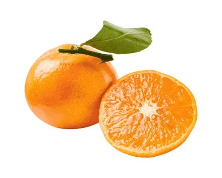 Mandarinen mit Blatt