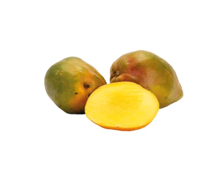 Mango genussreif