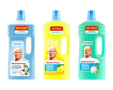 Meister Proper Allzweck-Reiniger