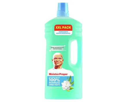 Meister Proper Frühlingserwachen