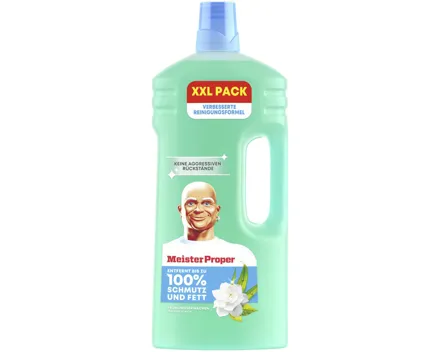 Meister Proper Frühlingserwachen