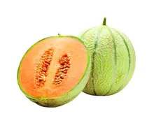 Melone Charentais 1 Stück