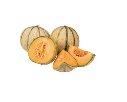 Melone Charentais Baby Karton à 3 Stück