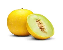 Melone Galia 1 Stück