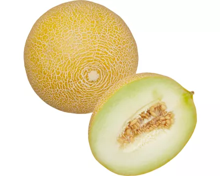 Melone Galia