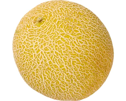 Melone Galia