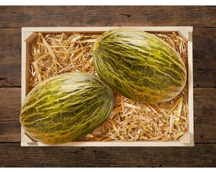 Melone Piel de Sapo