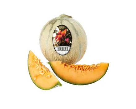 Melonen Charentais extra