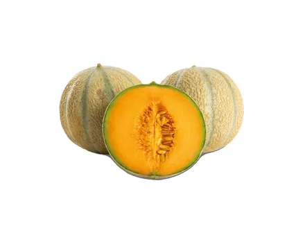 Melonen Charentais Jaune