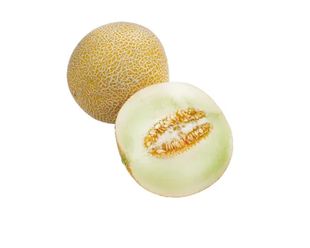 Melonen Galia