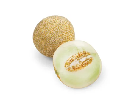 Melonen Galia