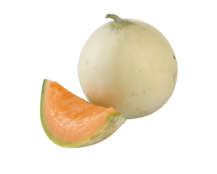 Melonen Honeymoon