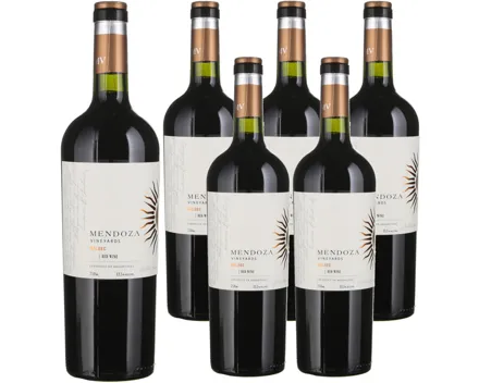 Mendoza Vineyards Malbec Selección 6x 75cl (2024) – Rotwein, Argentinien (0.75l)