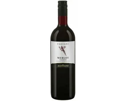 Merlot Veneto Fagiani Antonini (2024) – Rotwein, Italien (0.75l)